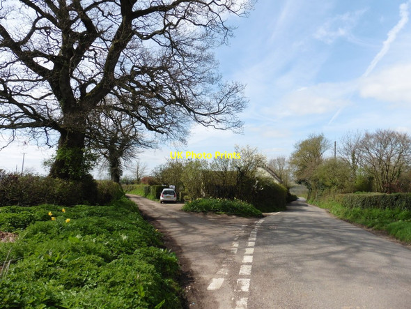 Photo 6"x4" Turning for Putts Corner Alfington c2017