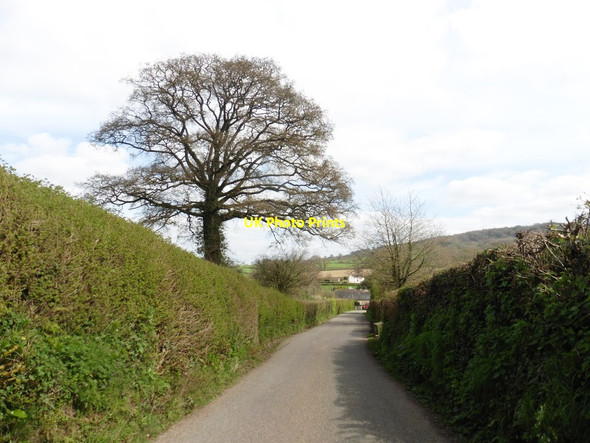 Photo 6"x4" Approaching Gittisham Gittisham c2017