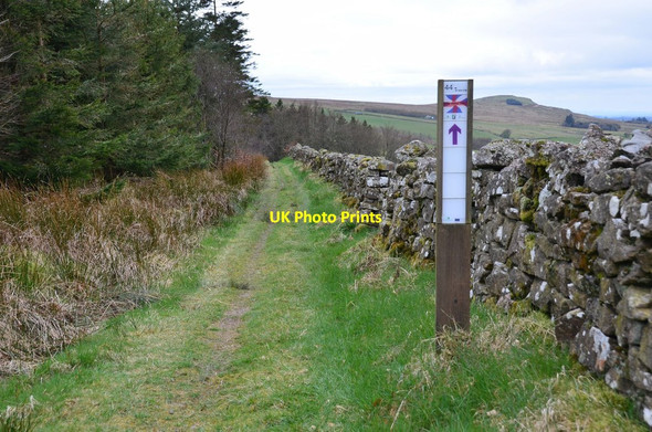 Photo 6"x4" Cross-Border trail, Newcastleton Forest Whithaugh c2017