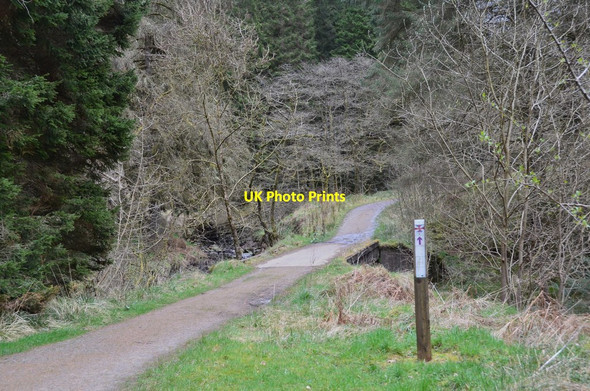 Photo 6"x4" Forest road bridge below Clintheugh Linns Greens\/NY4886 c2017