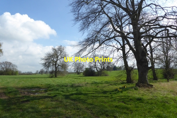 Photo 6"x4" Footpath to Bilbrough Angram\/SE5248 c2017