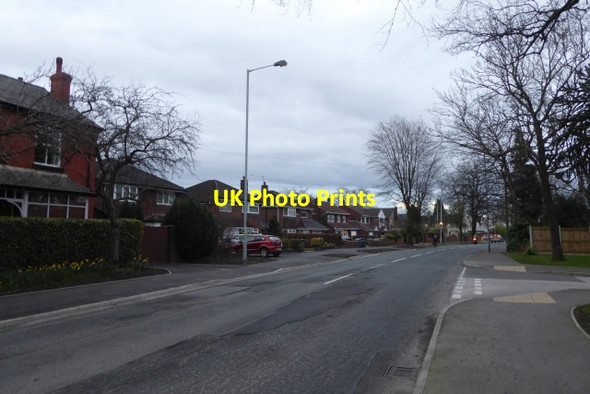 Photo 6"x4" Along Finney Lane Gatley c2017