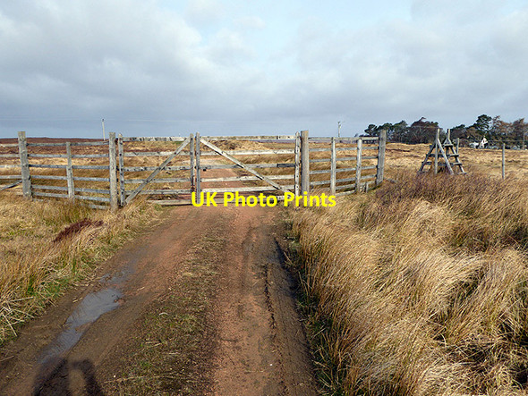 Photo 6"x4" Looking back at the Baledigle Forest entry gate and ladder stile Forsinard c2017