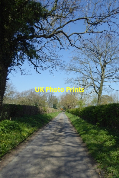 Photo 6"x4" Chapel Lane Askham Bryan c2017