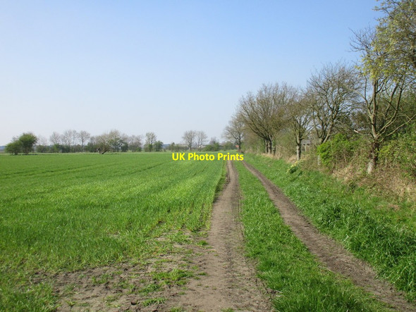 Photo 6"x4" Track off Shipton Lane Shiptonthorpe c2017