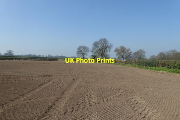 Photo 6"x4" Farmland south of Askham Richard Askham Richard c2017
