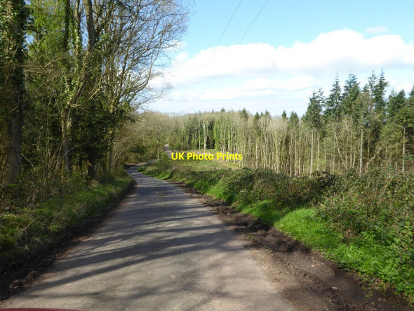 Photo 6"x4" Country road through Graig Wood Coed-y-fedw c2017