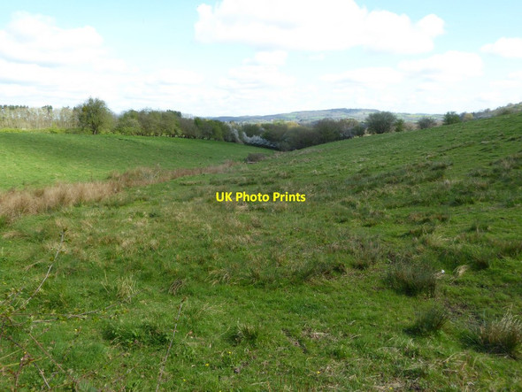 Photo 6"x4" Farmland below Graig Wood Coed-y-fedw c2017