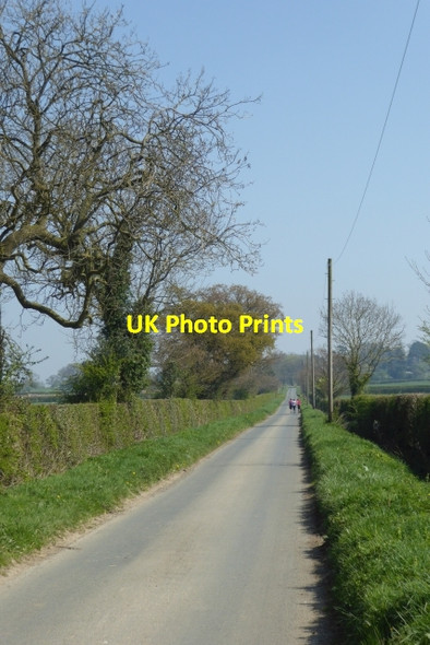 Photo 6"x4" Moor Lane towards Bilbrough Catterton c2017