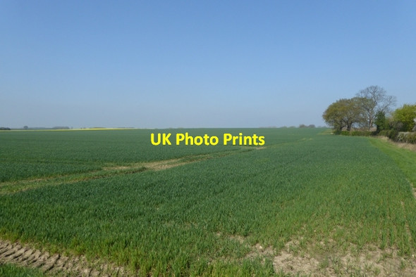 Photo 6"x4" Farmland near Moor Farm Catterton c2017