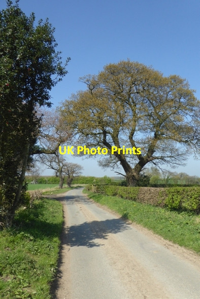 Photo 6"x4" Catterton Lane Catterton c2017