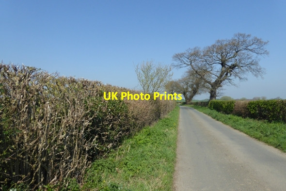 Photo 6"x4" Between Catterton and Healaugh Catterton c2017