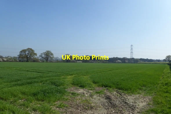 Photo 6"x4" Farmland east of Wighill Wighill c2017