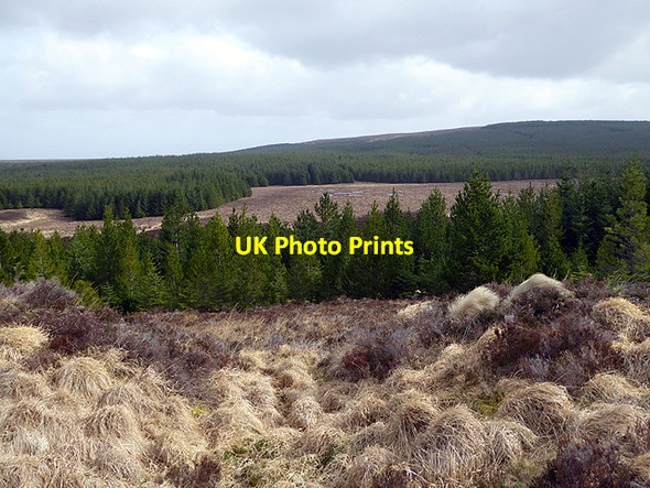 Photo 6"x4" Upper Strath Halladale Forsinard c2017