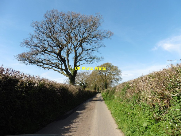 Photo 6"x4" Lane, north of Buckerell Awliscombe c2017