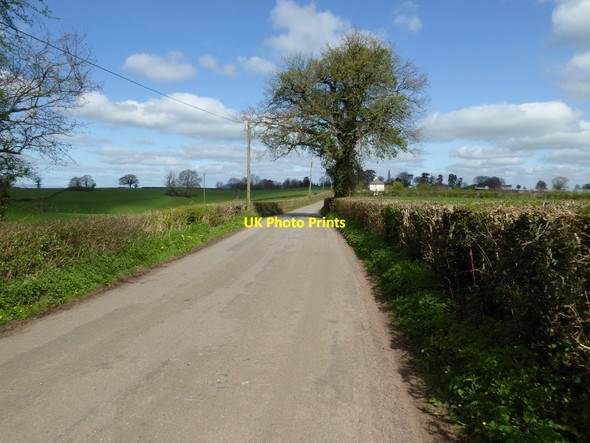 Photo 6"x4" Country road near Raglan Castle Tregare c2017