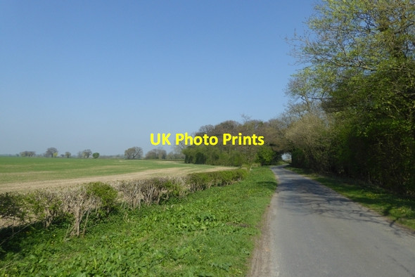 Photo 6"x4" Catterton Lane near Old Street Tadcaster c2017
