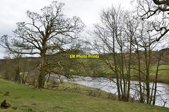 Photo 6"x4" The Liddel Water near Gillside Kershopefoot c2017