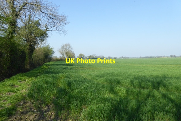 Photo 6"x4" Farmland beside Old Street Catterton c2017