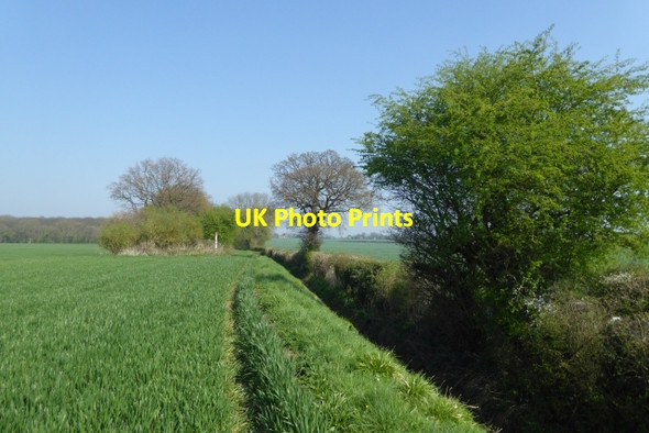 Photo 6"x4" The Old Street Catterton c2017