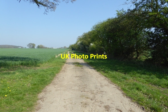 Photo 6"x4" Old Street from the bridleway junction Street Houses\/SE5245 c2017