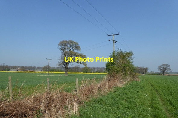 Photo 6"x4" Electric poles over Old Street Bilbrough c2017