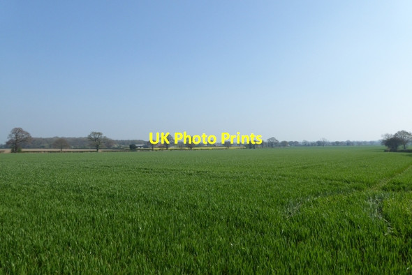 Photo 6"x4" Fields beside Old Street Colton\/SE5444 c2017
