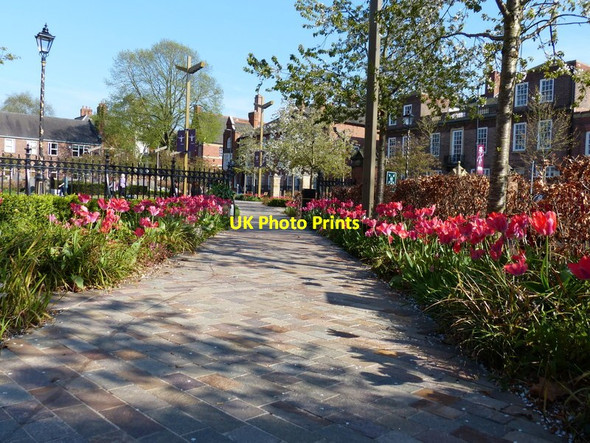 Photo 6"x4" Path and flowers at Leicester Cathedral Leicester c2017