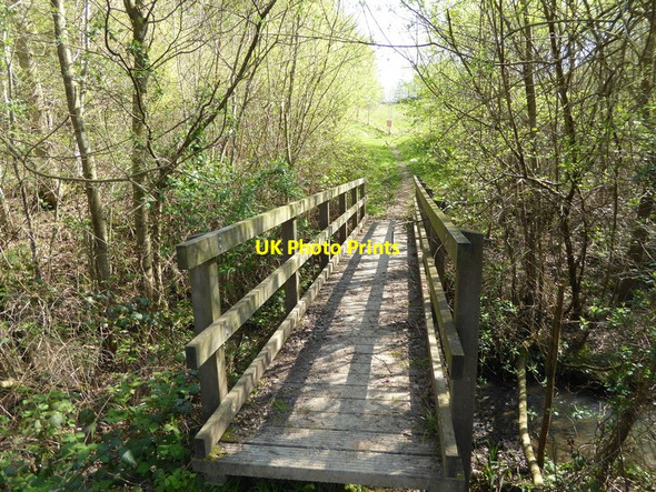 Photo 6"x4" Footbridge east of Treemans Road Furner's Green c2017