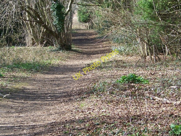 Photo 6"x4" Bridleway, Blagdon Gap Martin\/SU0619 c2009