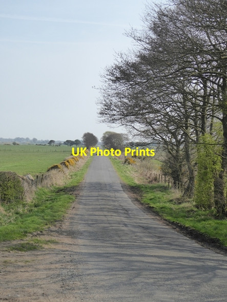 Photo 6"x4" Herd Hill Cardurnock c2017