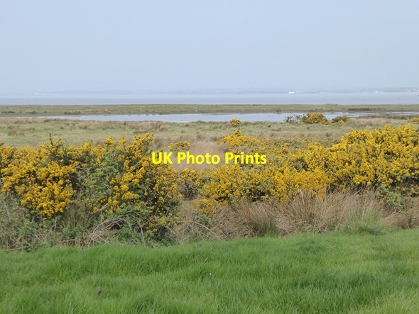 Photo 6"x4" Campfield Marsh RSPB Reserve Anthorn c2017