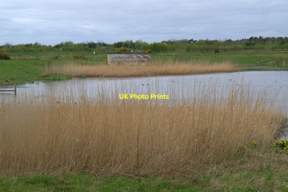 Photo 6"x4" View over the lake at Watchtree Nature Reserve Great Orton c2017
