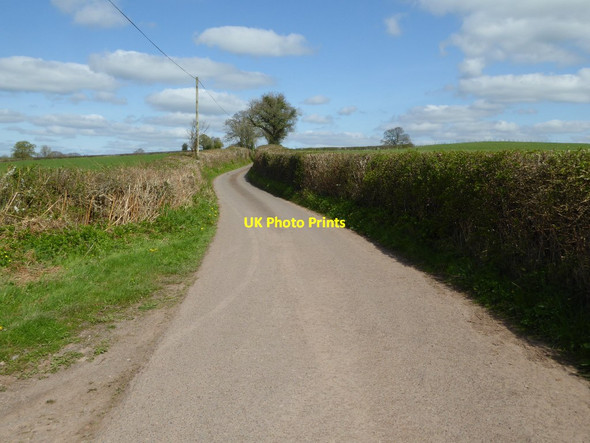 Photo 6"x4" Country road to the north of Llandenny Treworgan Common c2017