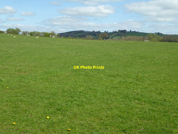 Photo 6"x4" Field near Llandenny Llandenny c2017