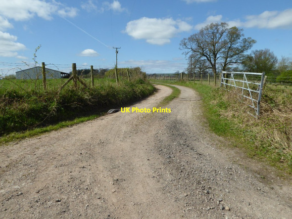 Photo 6"x4" Entrance and footpath Llandenny c2017