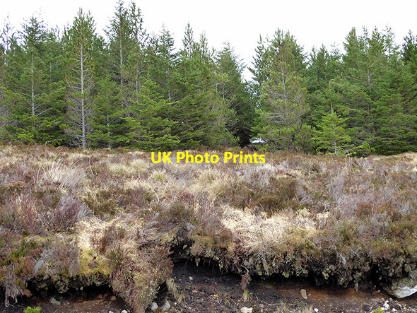 Photo 6"x4" Undercut peat in the Channain Forest Allt na Claise M\u00f2ire\/NC9239 c2017
