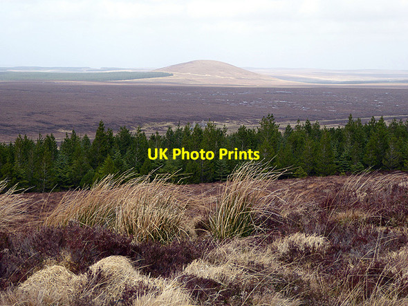 Photo 6"x4" On Channain Hill Forsinard c2017