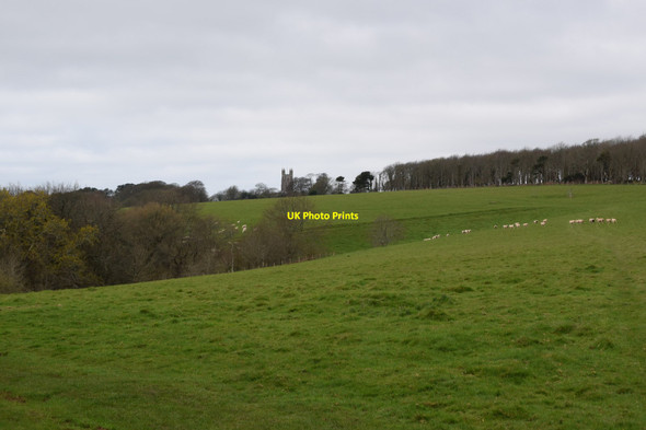 Photo 6"x4" Edgcumbe Estate Cremyll c2017