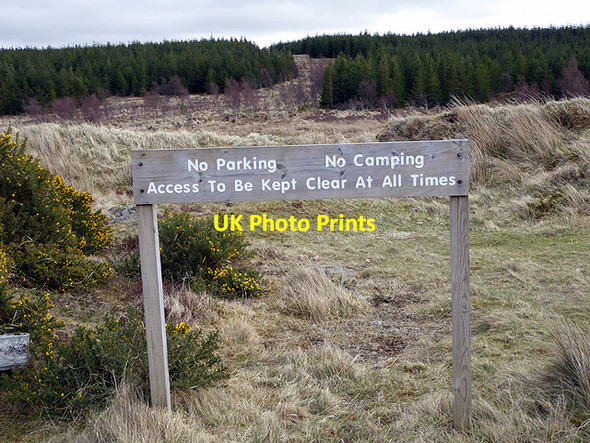 Photo 6"x4" The entrance to the Baledigle Forest Forsinard c2017