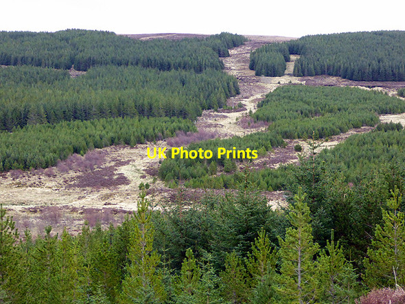 Photo 6"x4" A view across Strath Halladale Forsinard c2017