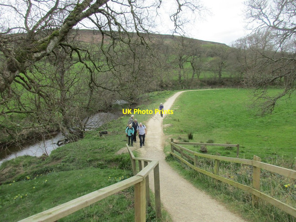 Photo 6"x4" Riverside path, Farndale Low Mill\/SE6795 c2017