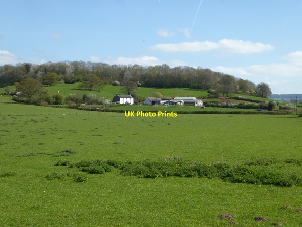 Photo 6"x4" View to Court-y-gollen Gwernesney c2017