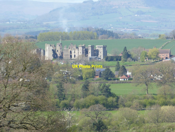 Photo 6"x4" Raglan Castle Raglan c2017