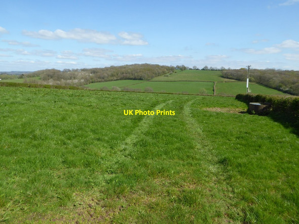Photo 6"x4" Farmland near Twyn-yr-argoed Coed-y-fedw c2017