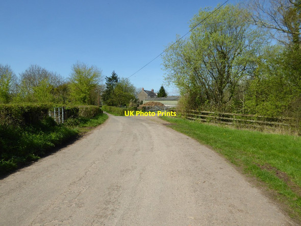 Photo 6"x4" Country road passing Twyn-yr-argoed Raglan c2017