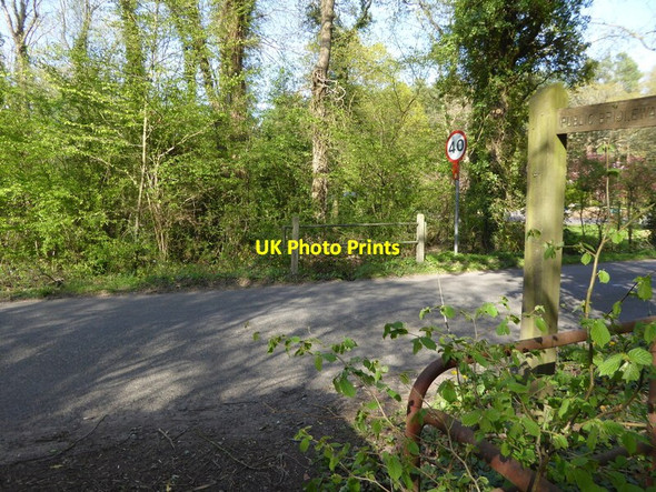 Photo 6"x4" Bridleway junction with Horsham Lane Walliswood c2017
