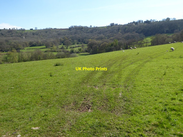 Photo 6"x4" Farmland near Cae Barn Cwmcarvan c2017