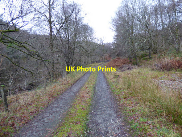 Photo 6"x4" Track at Inverbeg Inverbeg c2015