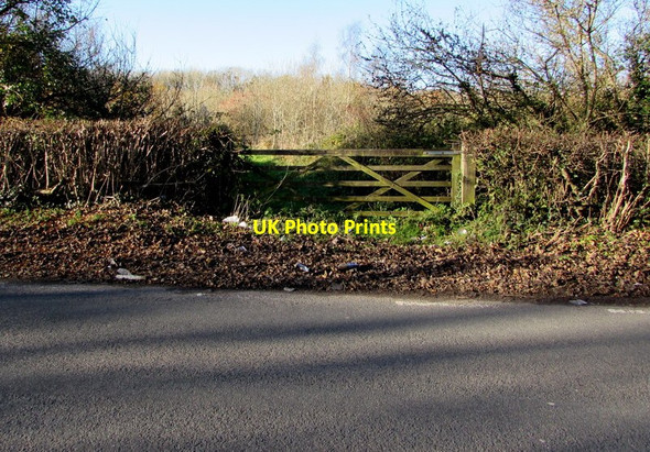 Photo 6"x4" Wooden gate at the edge of woodland north of Dinas Powys Michaelston-le-Pit c2016